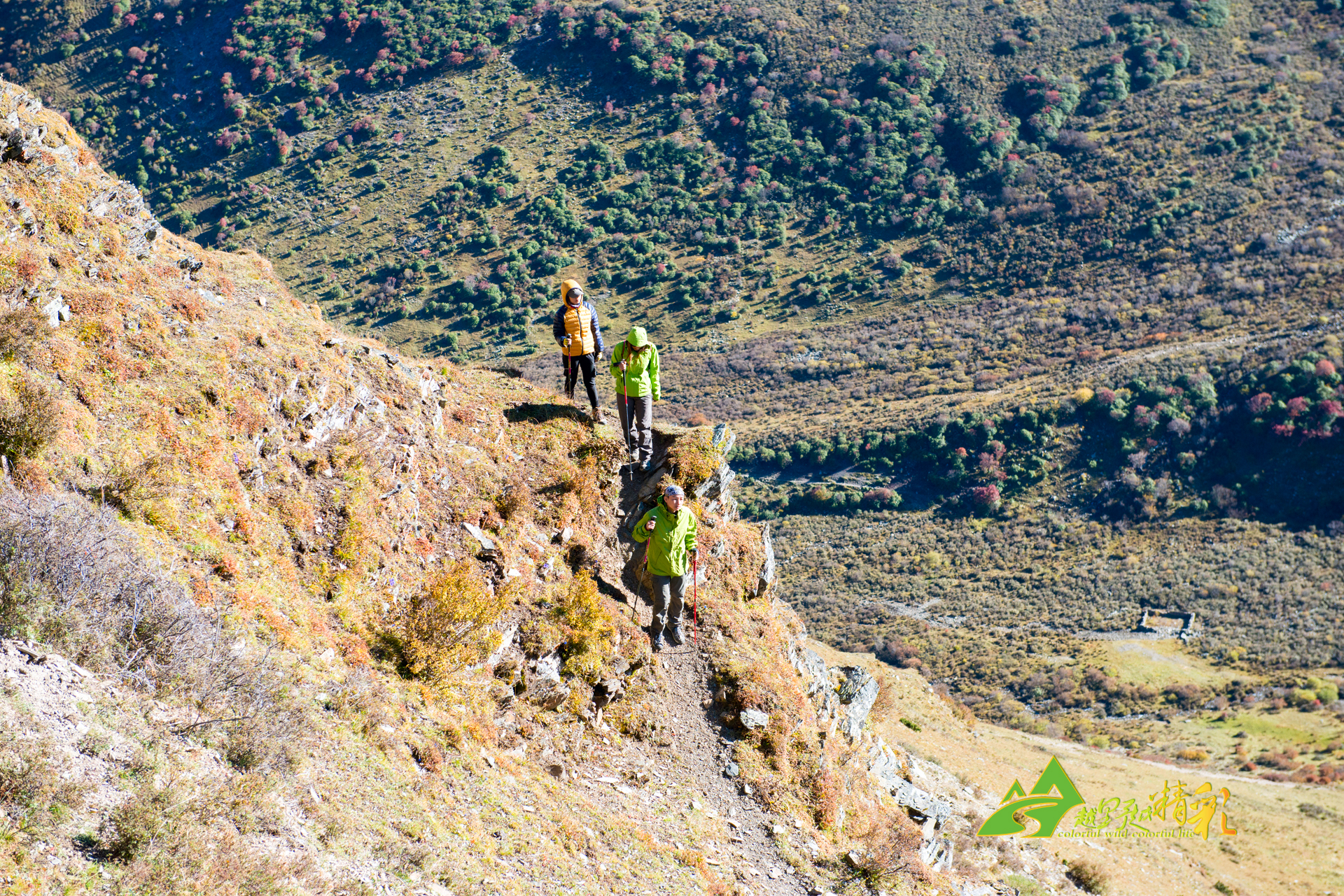 的伤情展开 的伤情展开