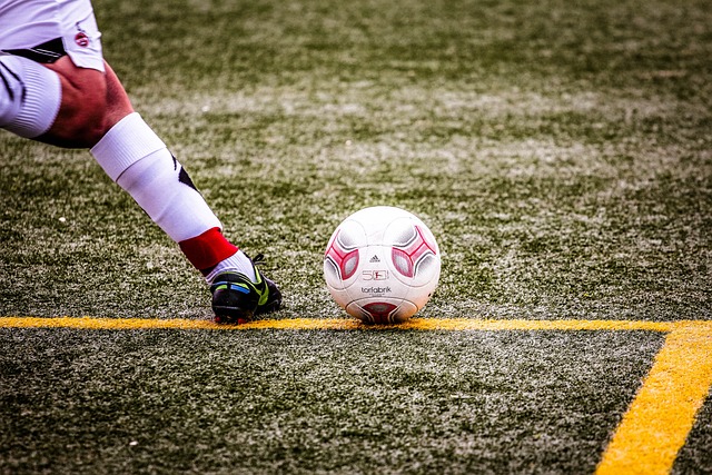 业提供了一 业提供了一